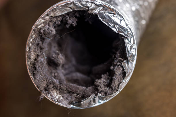 Best Air Duct Mold Removal  in Olivet, TN